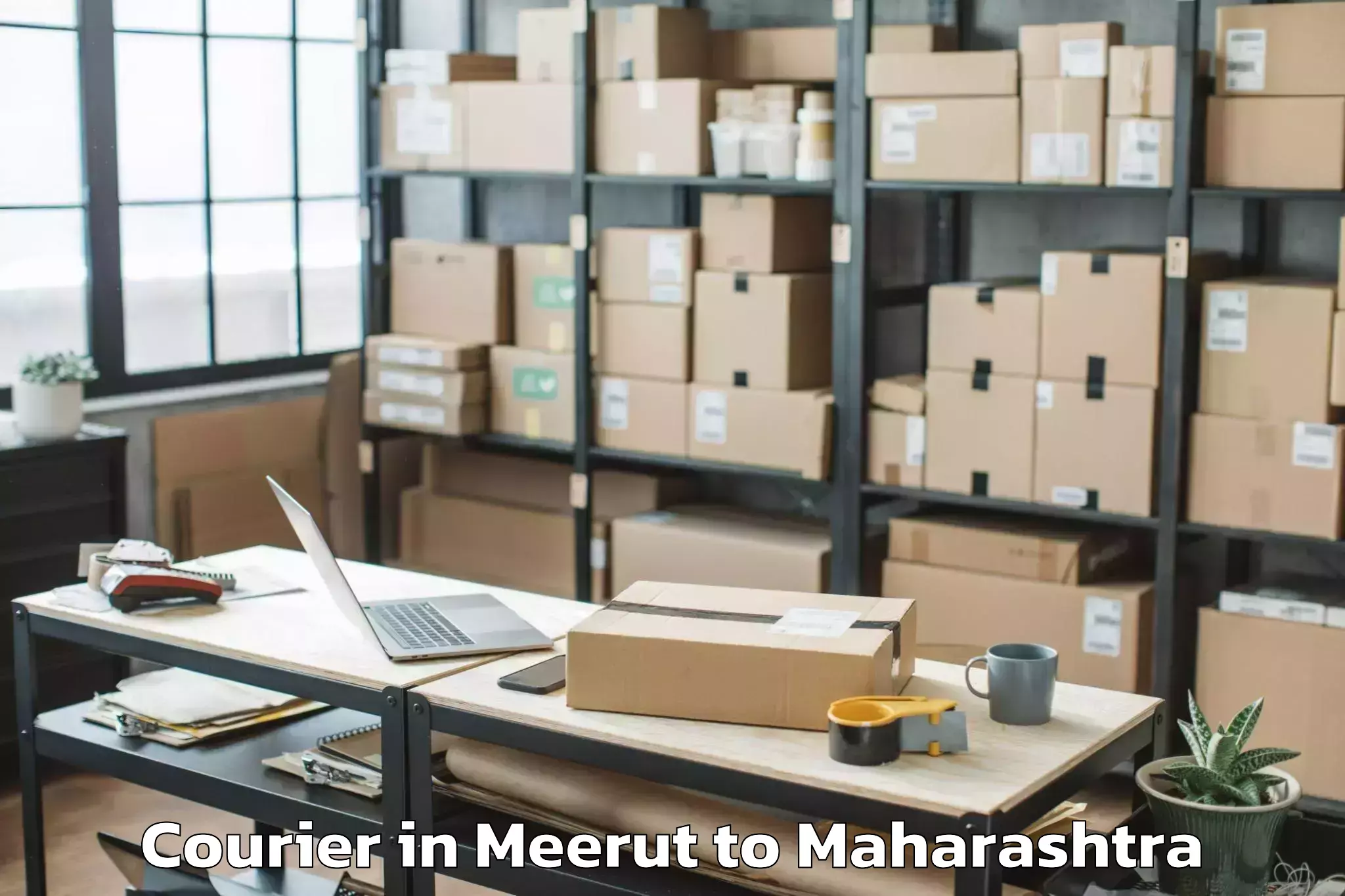 Quality Meerut to Gangakher Courier